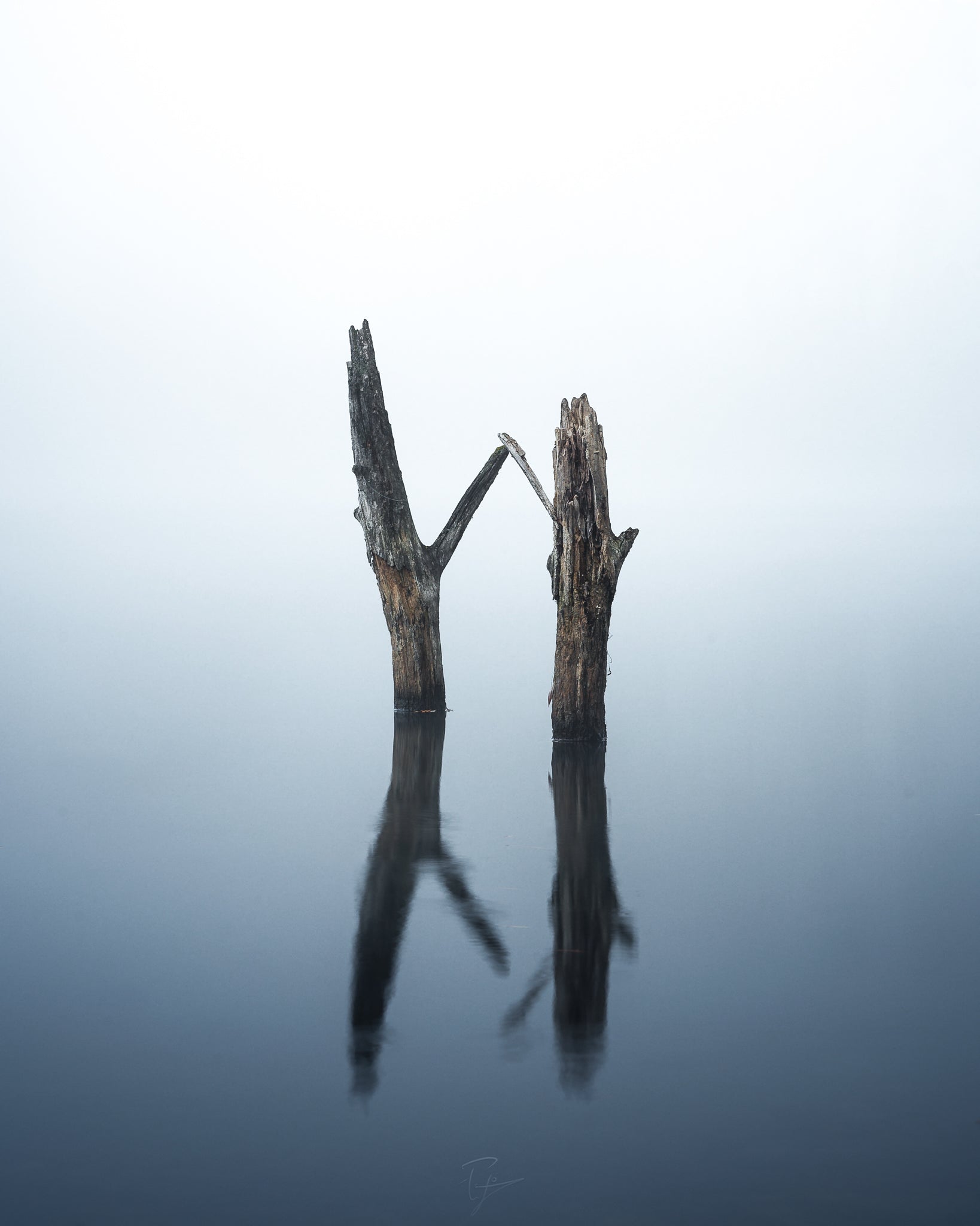 Zwiesprache im Nebel