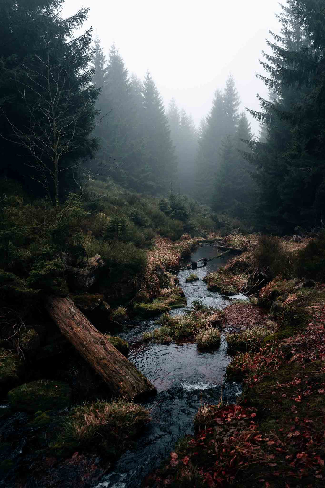 Stille Pfade