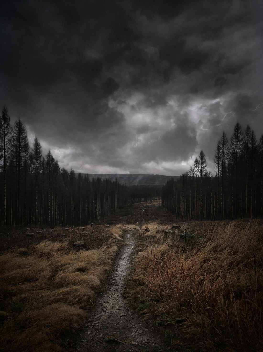 Verlorener Weg