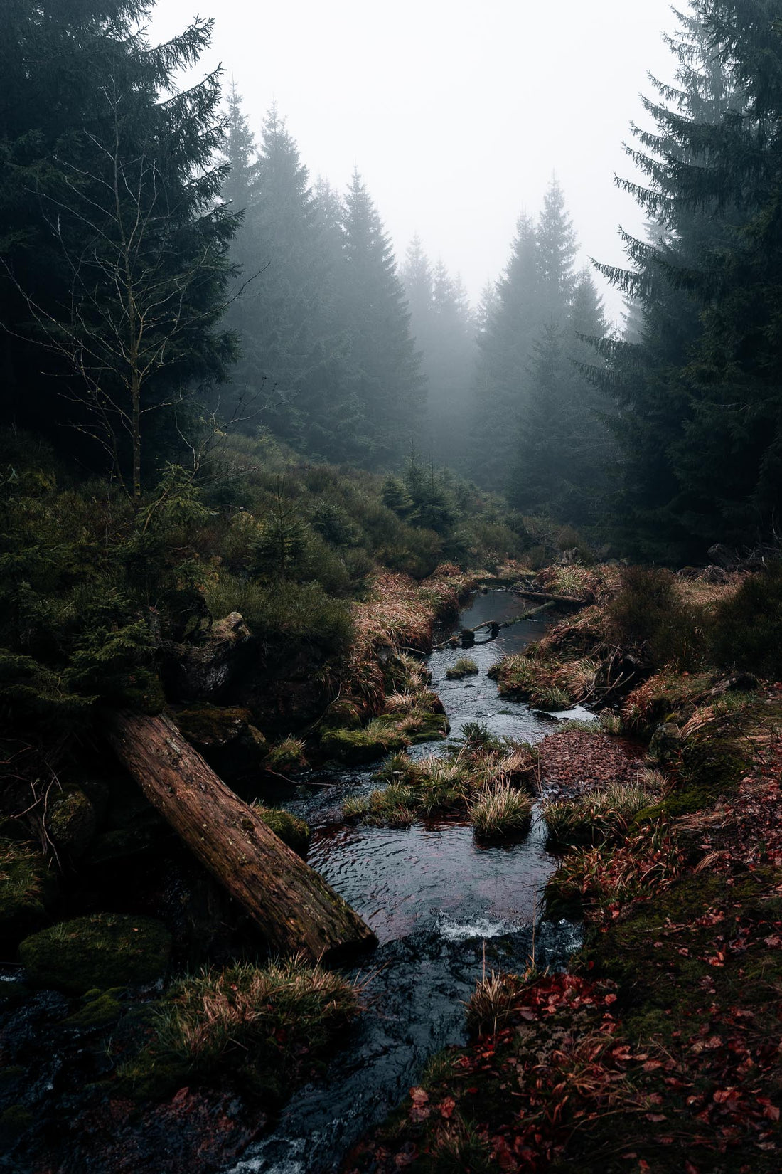 Stille Pfade